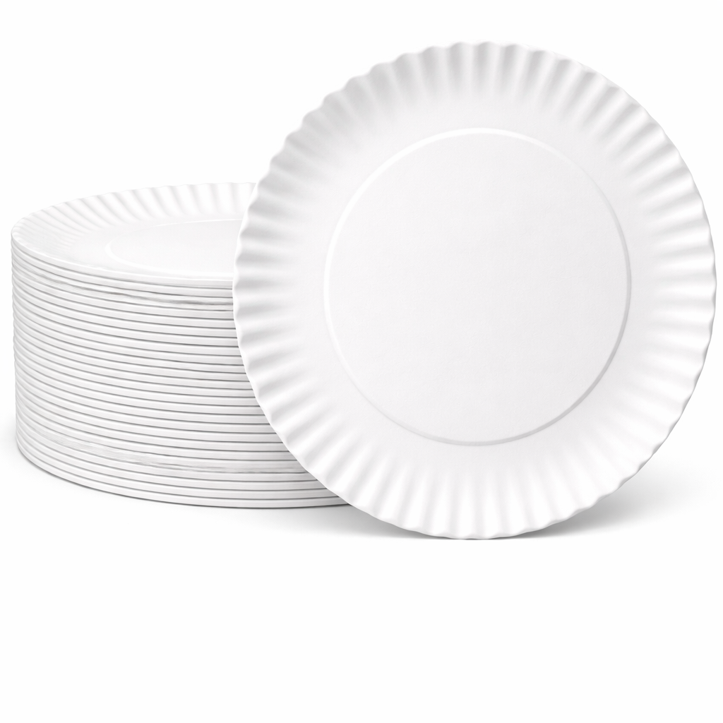  Paper Plates